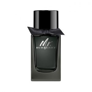 Mr. Burberry EDP 100ML Erkek